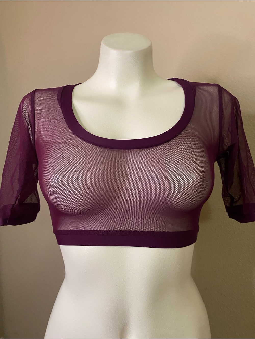 Sheer stretch mesh Plum festival rave Crop Top S